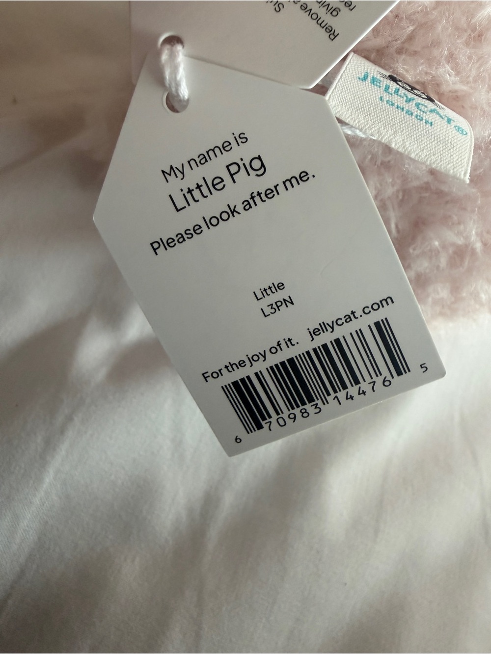 Little Pig - Picture 5 of 5